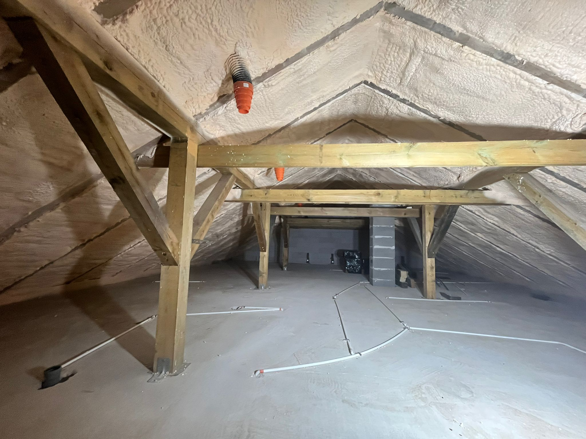 Photo by Alexander Mils