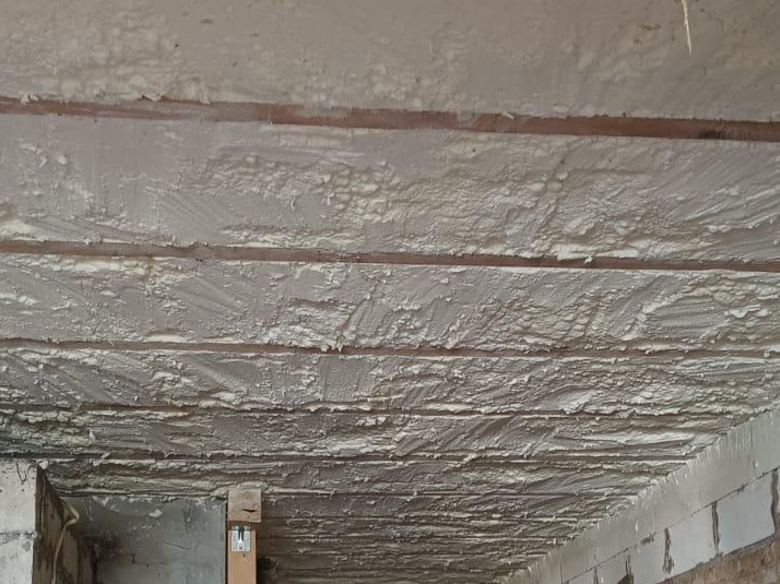 Photo by Alexander Mils